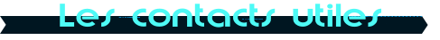Les contacts utiles
